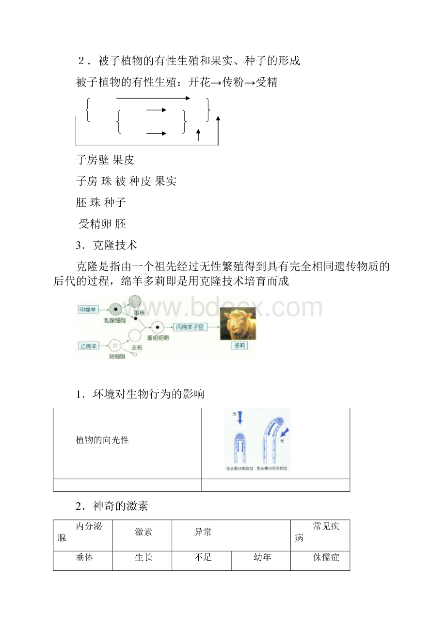 浙教版中考专题复习之生物知识点总结资料汇编.docx_第3页