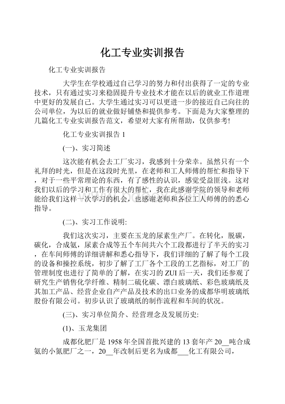 化工专业实训报告.docx_第1页