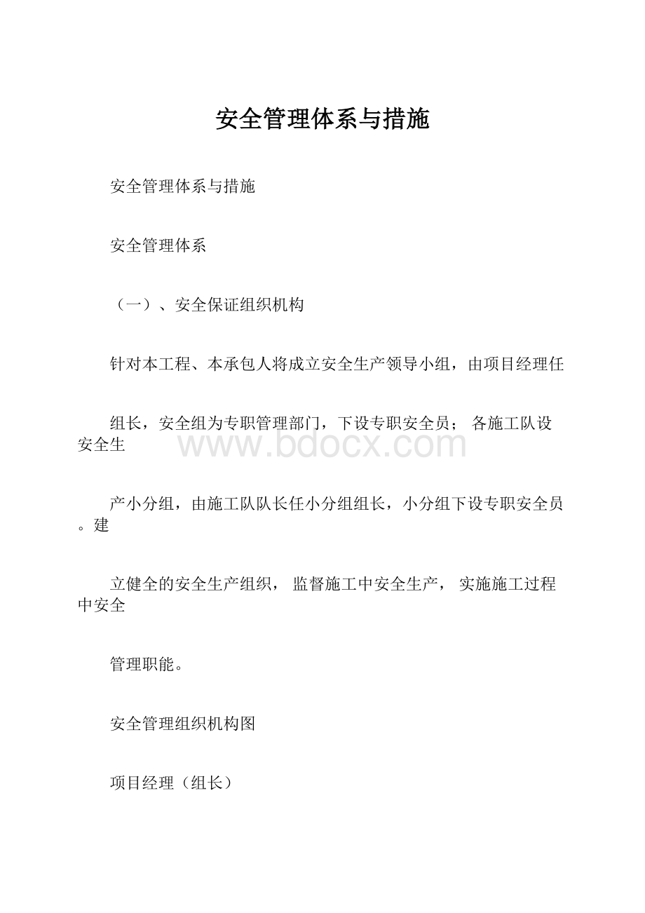 安全管理体系与措施.docx_第1页