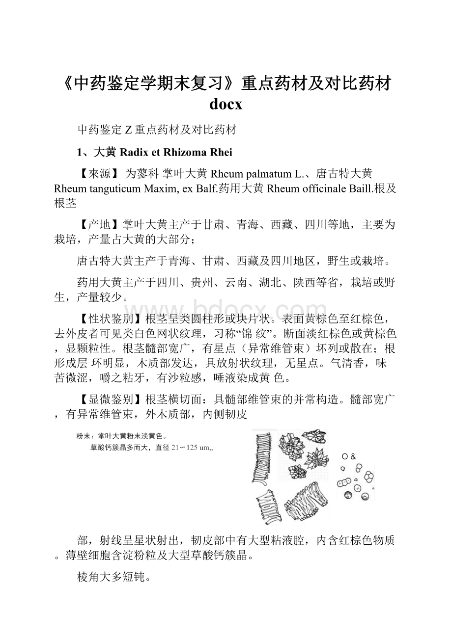 《中药鉴定学期末复习》重点药材及对比药材docx.docx_第1页