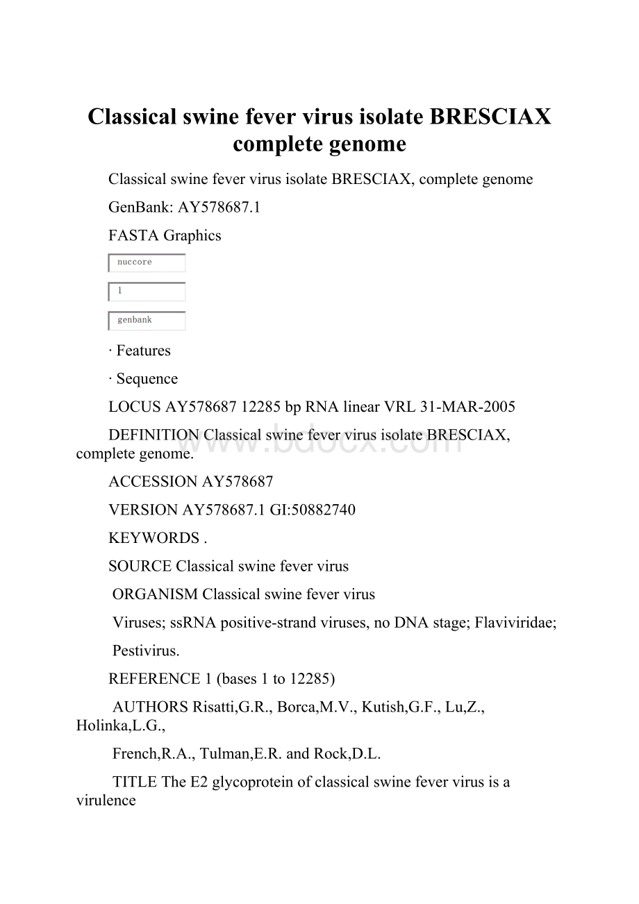 Classical swine fever virus isolate BRESCIAX complete genome.docx