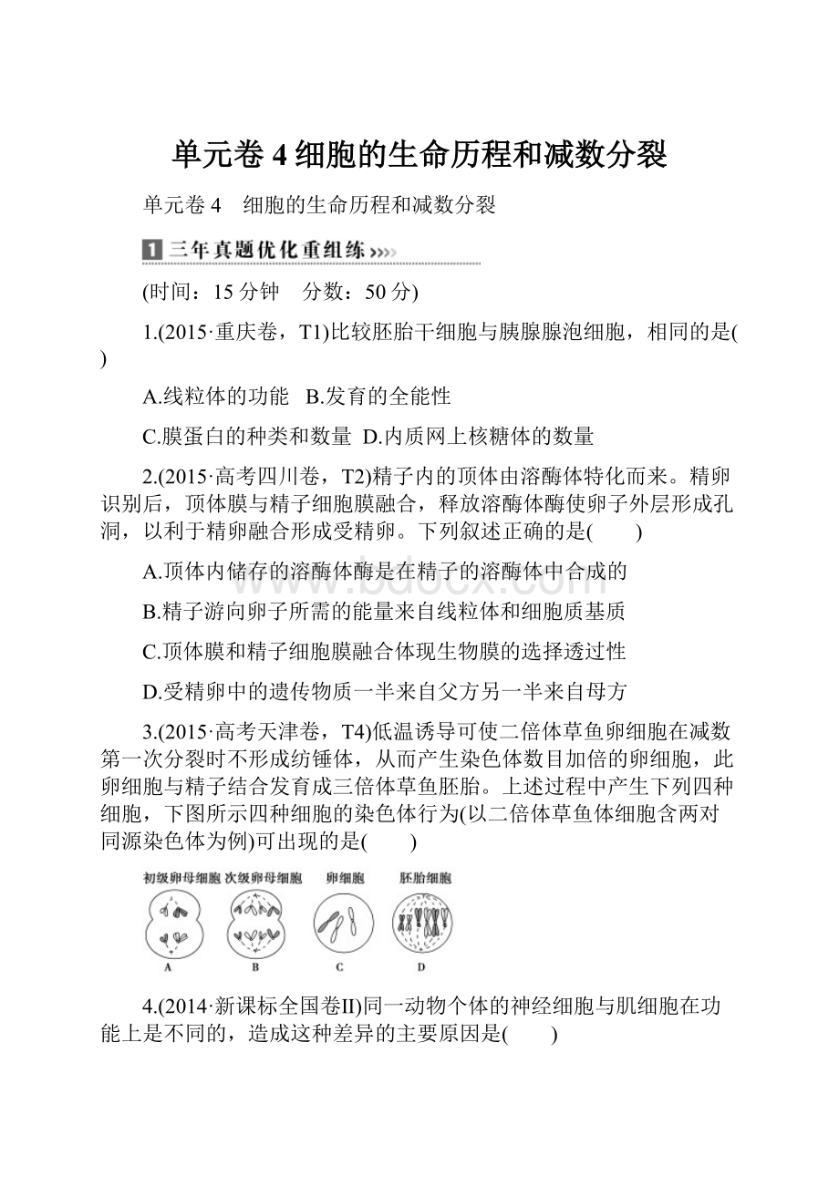 单元卷4细胞的生命历程和减数分裂.docx