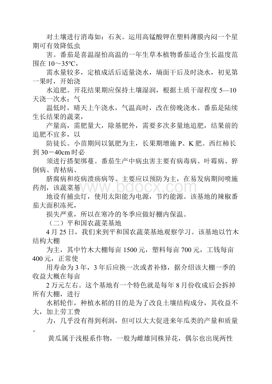 蔬菜学实习报告精品.docx_第3页