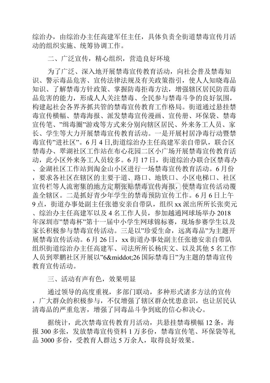 国际禁毒日宣传活动总结美丽青春拒绝毒品.docx_第3页