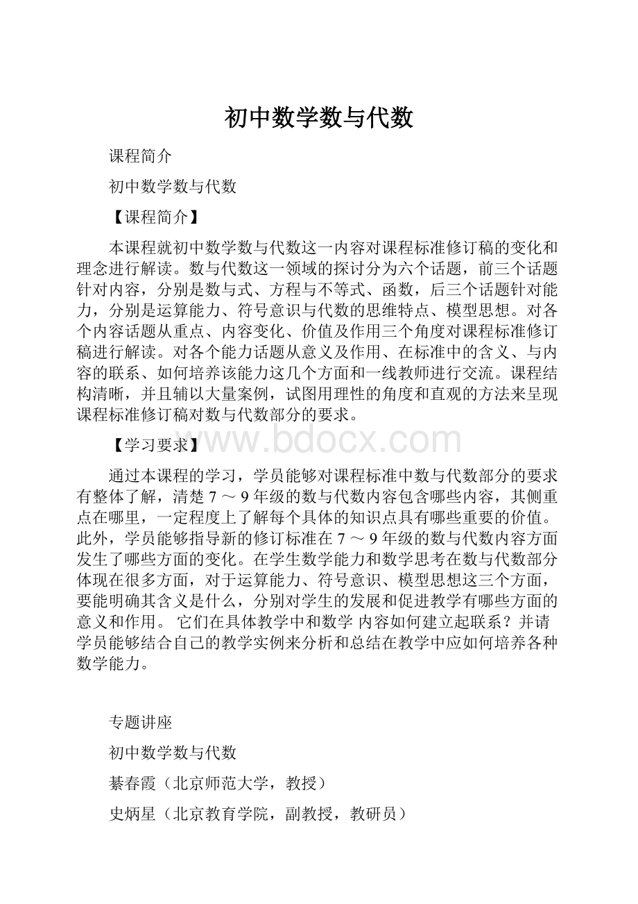 初中数学数与代数.docx