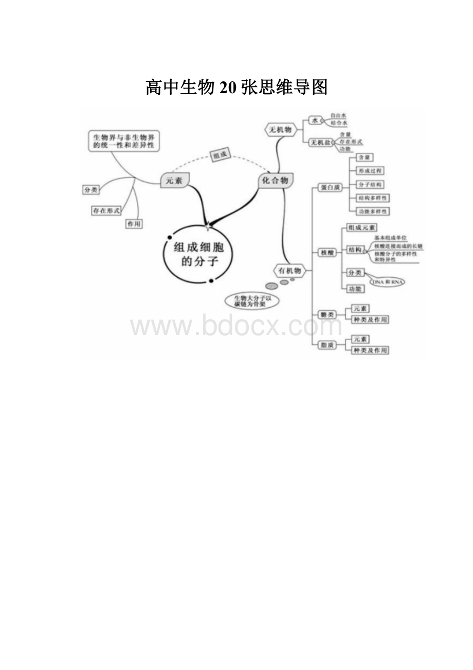 高中生物20张思维导图.docx