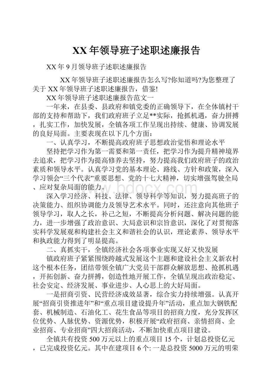 XX年领导班子述职述廉报告.docx