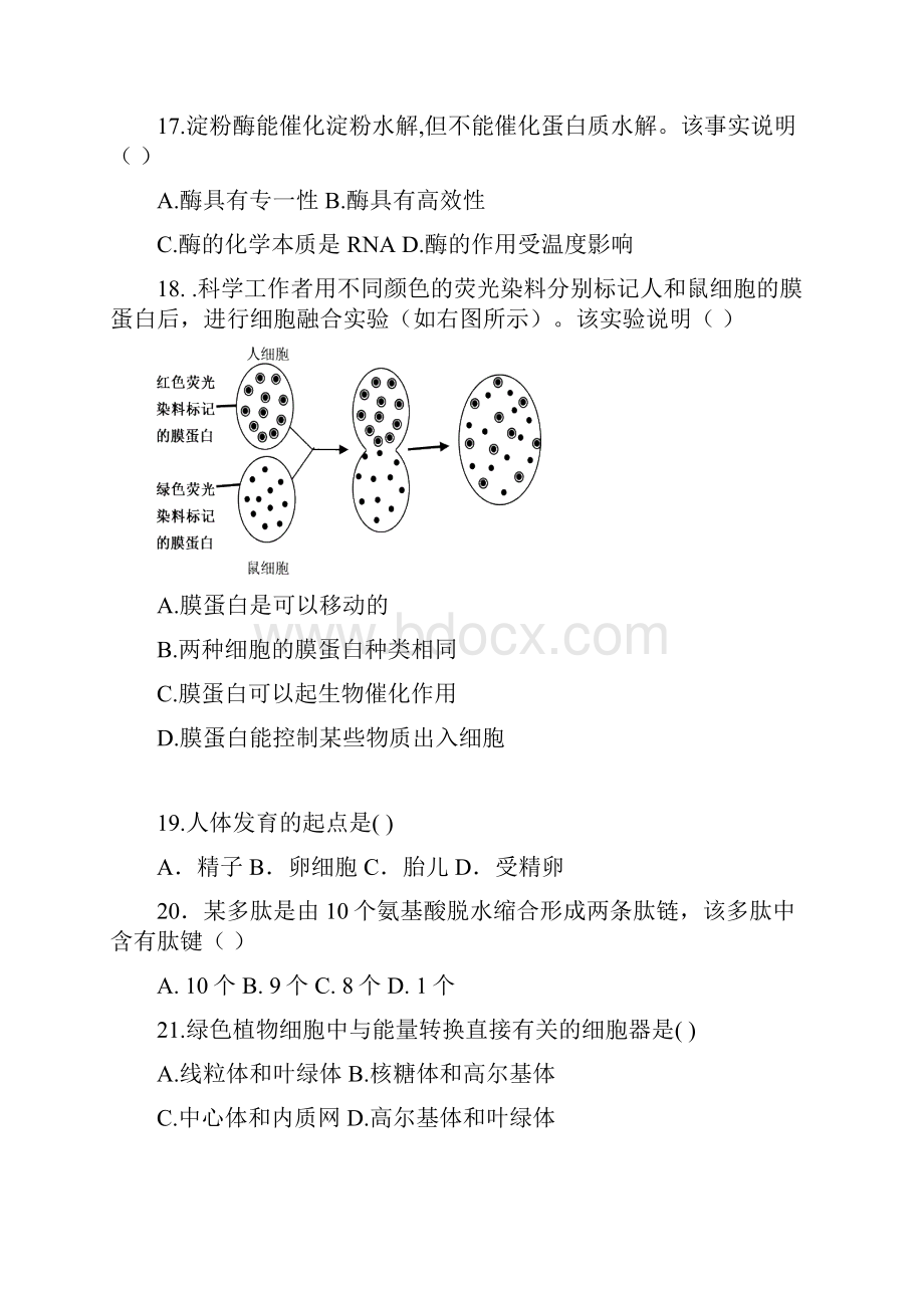 武夷山二中学年第一学期期末考doc.docx_第3页