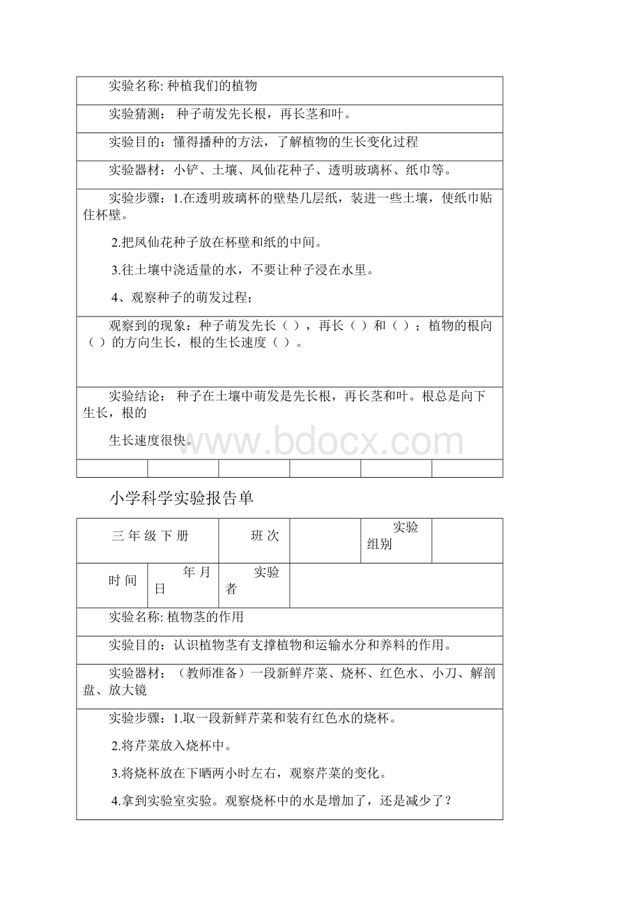 教科版小学三年级科学下册全册实验报告材料单.docx_第2页