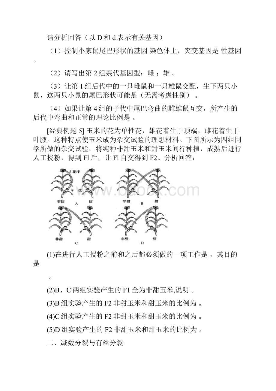 最新高一生物《遗传与进化》期末复习之配套试题讲解.docx_第3页