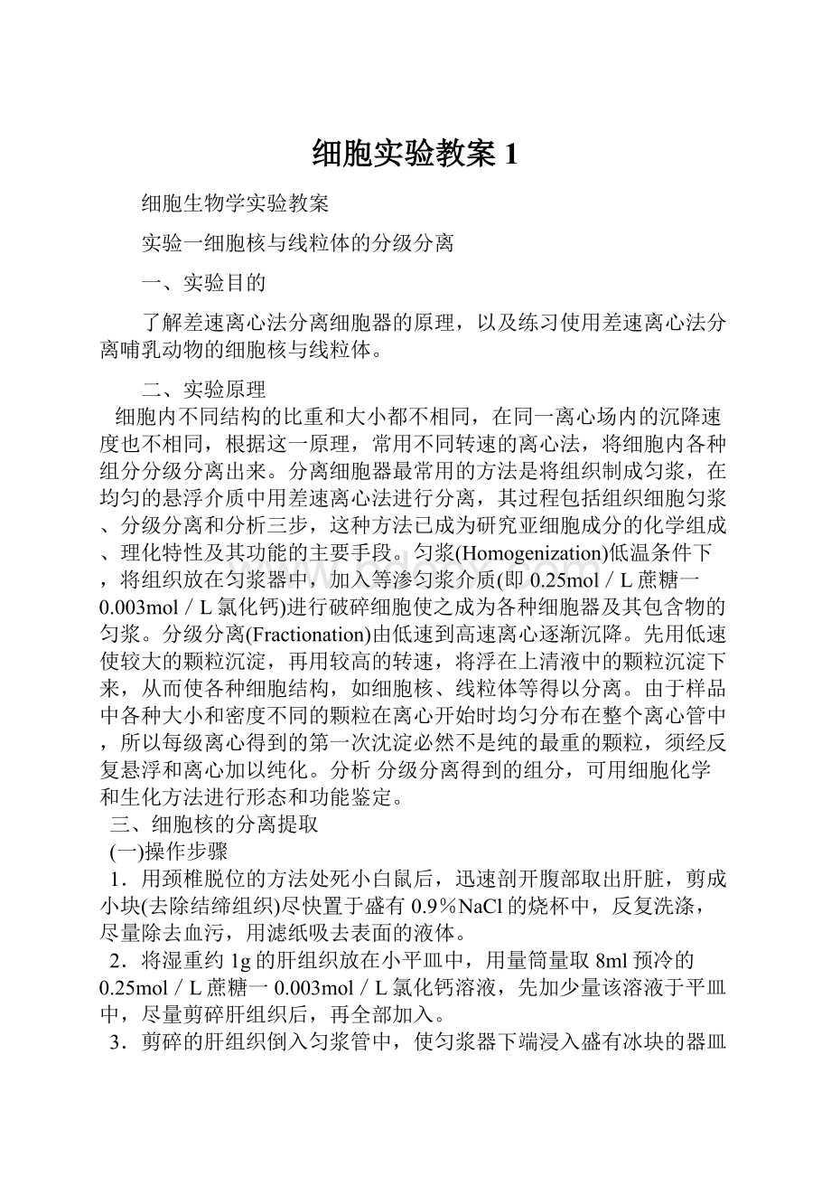 细胞实验教案1.docx_第1页