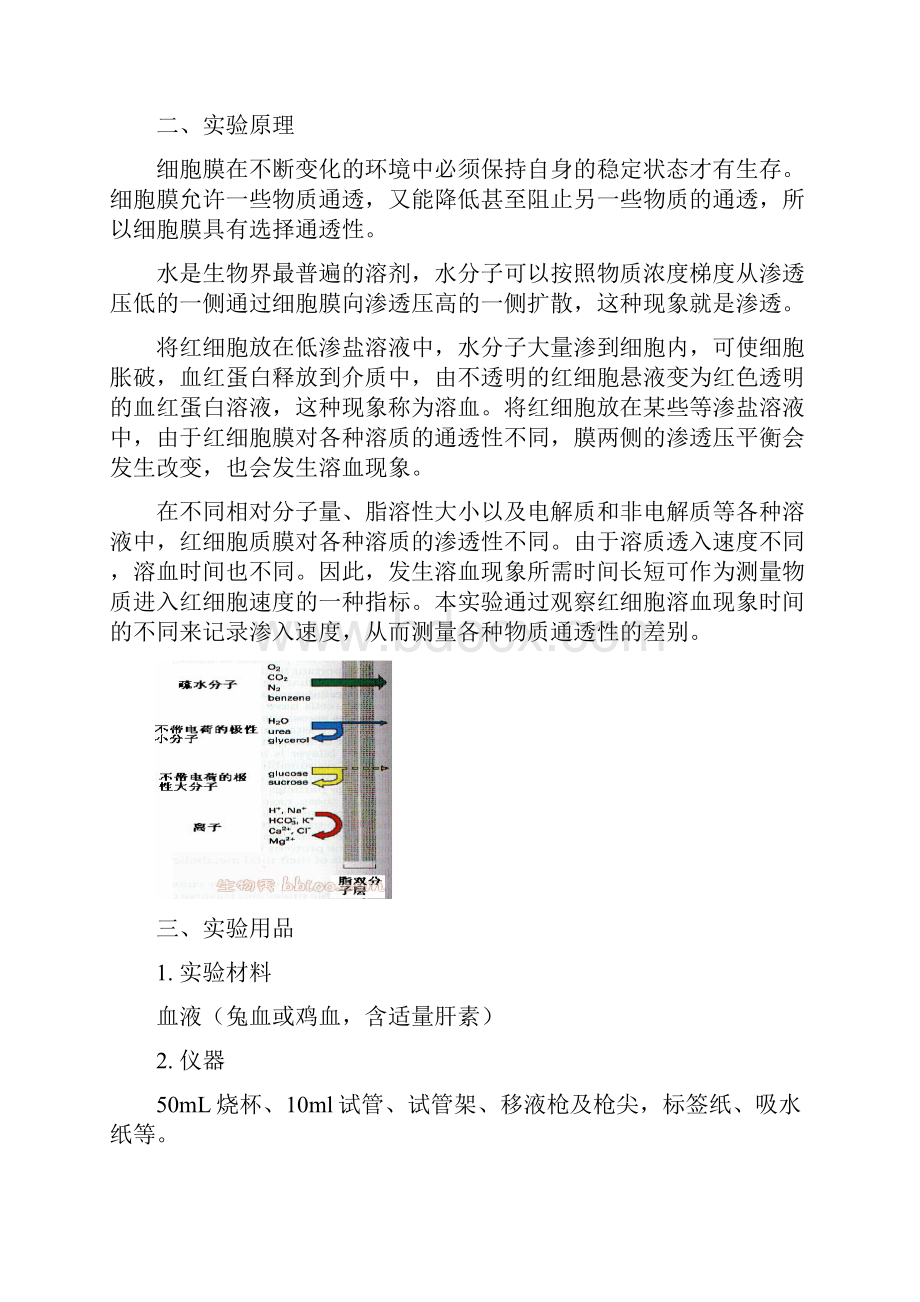 细胞实验教案1.docx_第3页