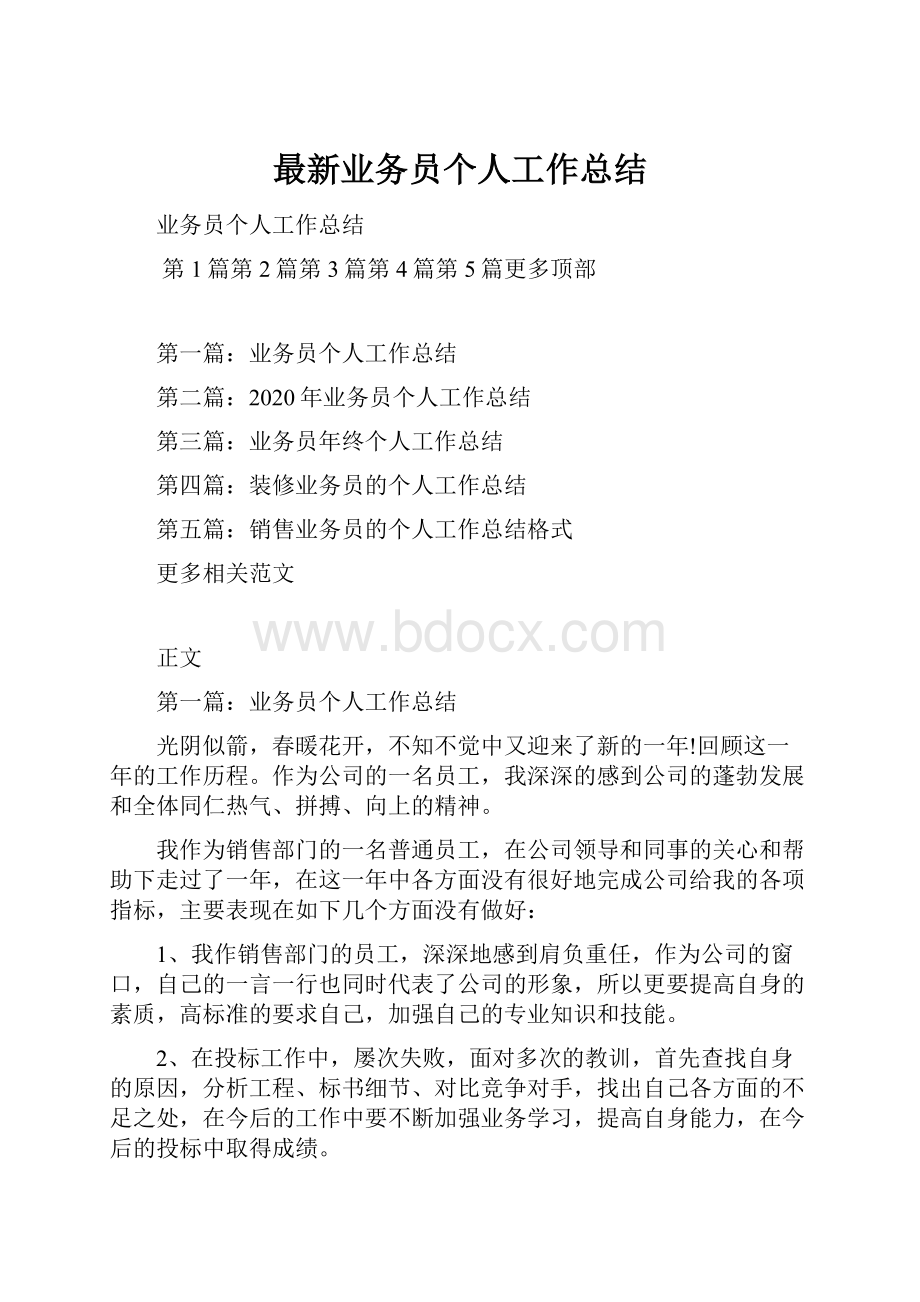 最新业务员个人工作总结.docx