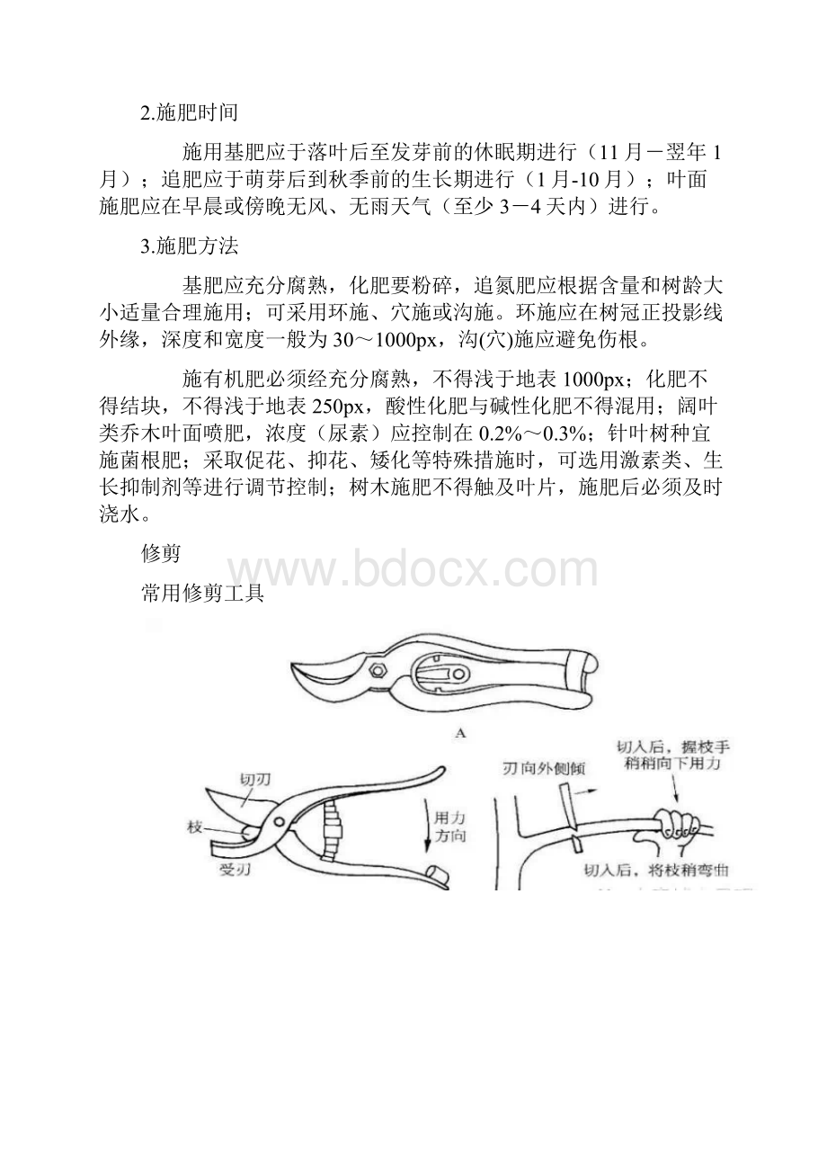 绿化植物养护技术规范.docx_第2页