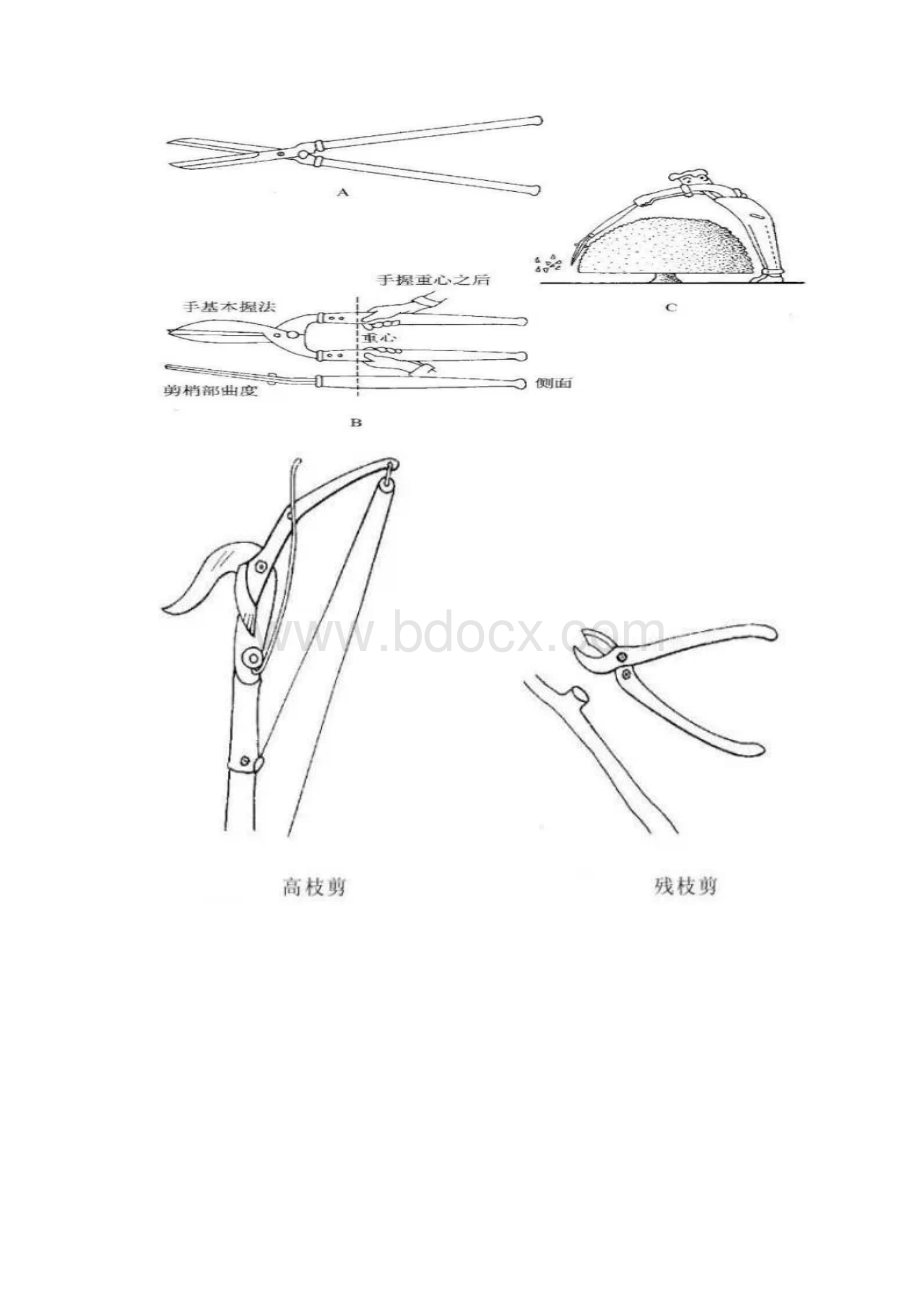 绿化植物养护技术规范.docx_第3页