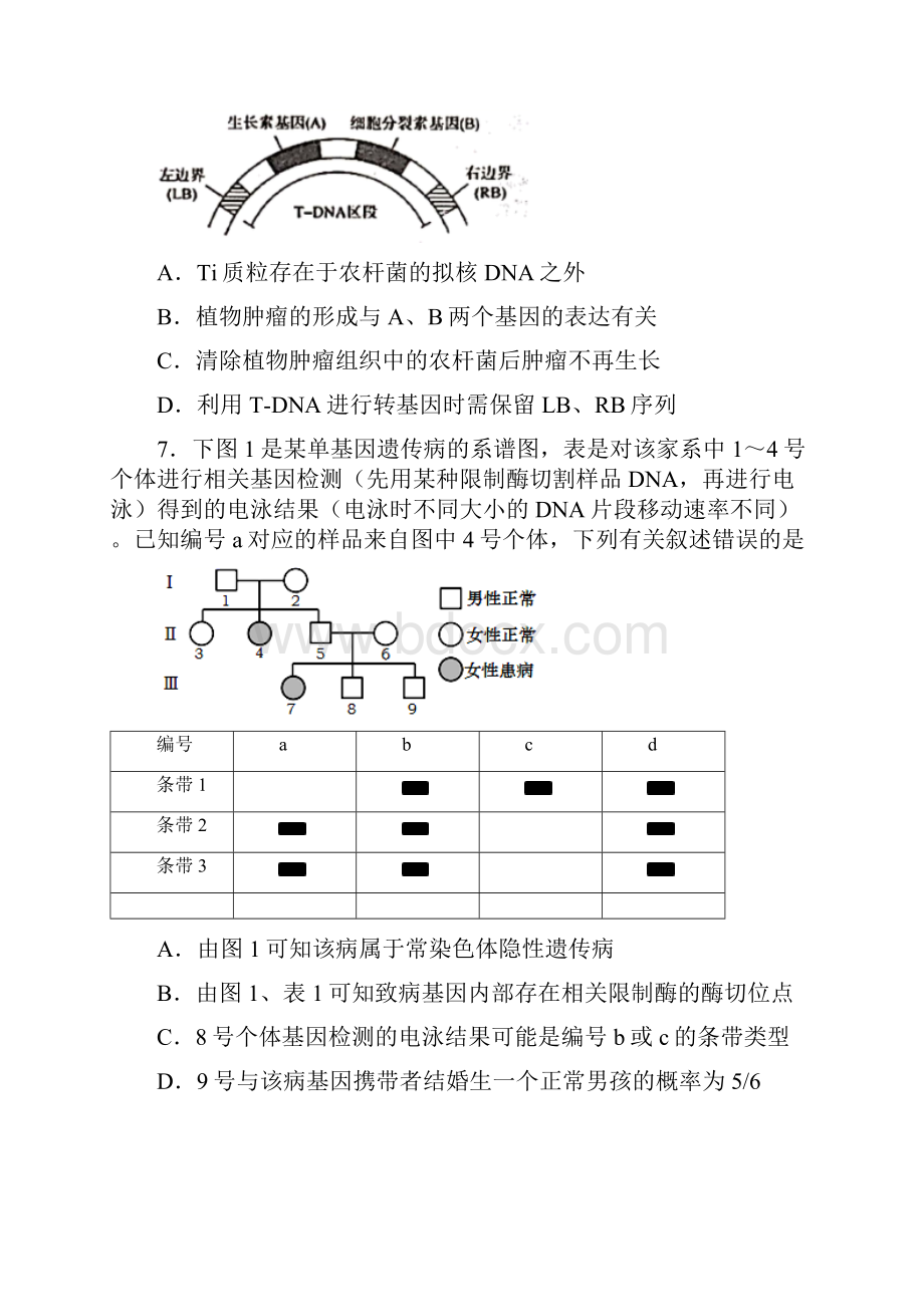 届北京市延庆区高三第一次模拟生物试题.docx_第3页