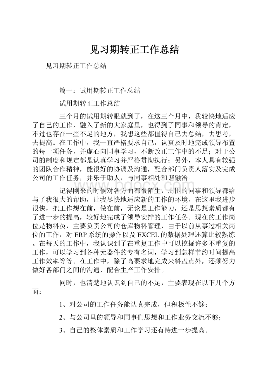 见习期转正工作总结.docx