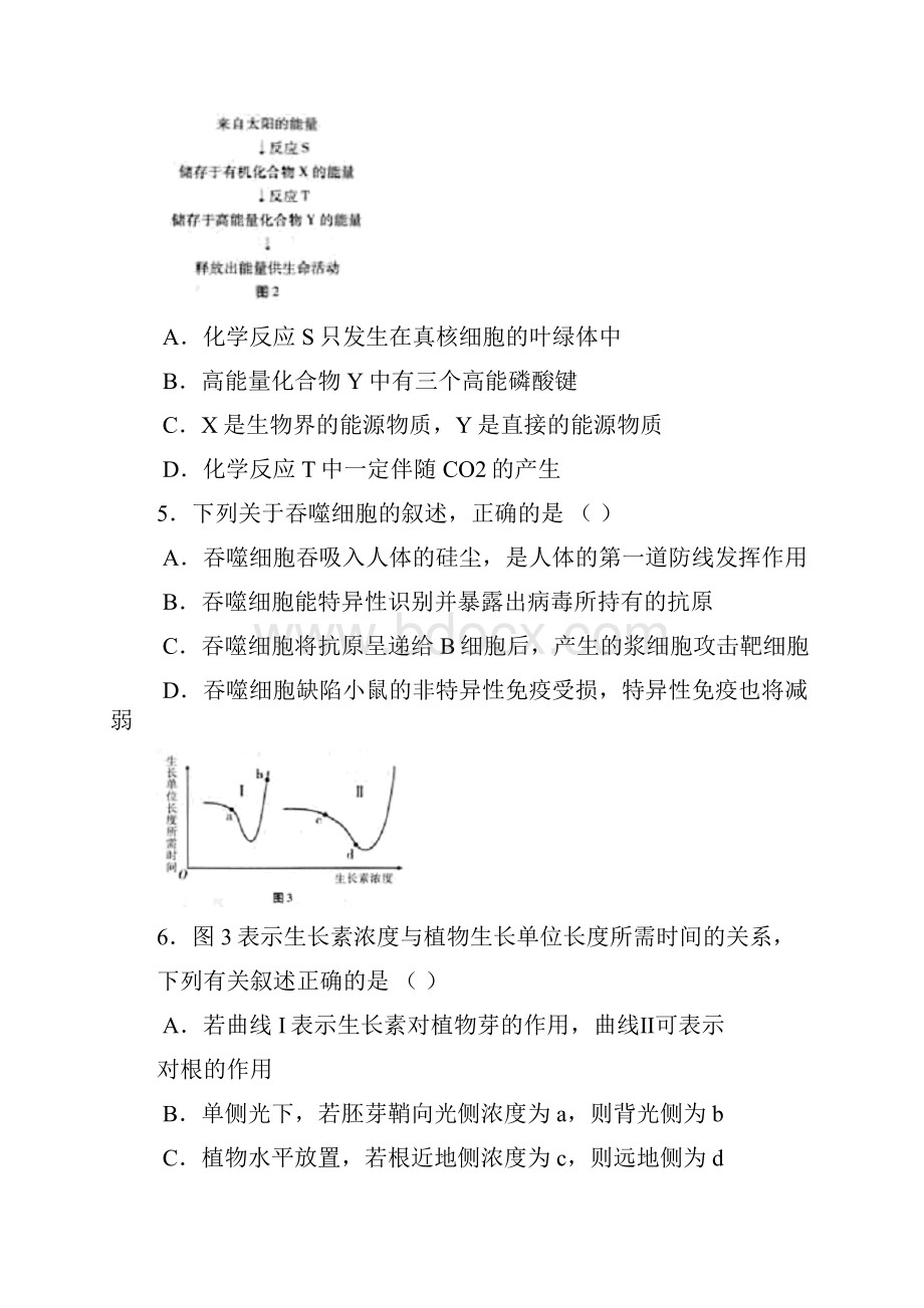 届高三理综上册适应性考试试题.docx_第3页