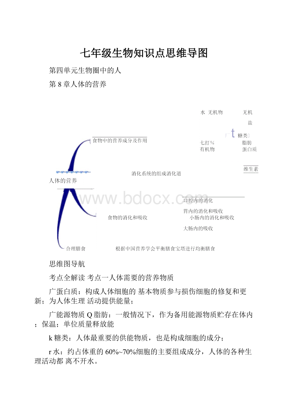 七年级生物知识点思维导图.docx