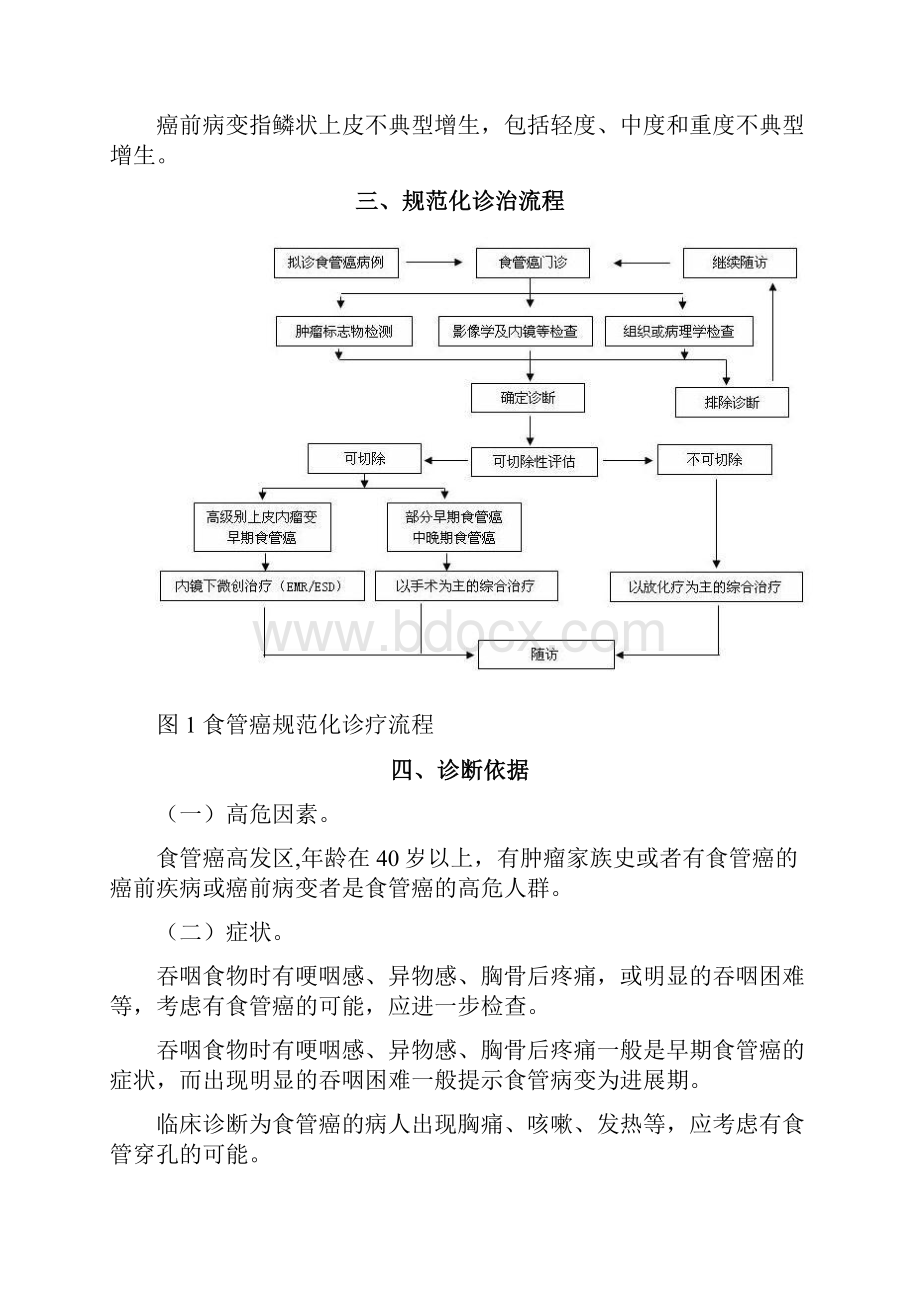 食管癌规范化诊治指南试行.docx_第2页