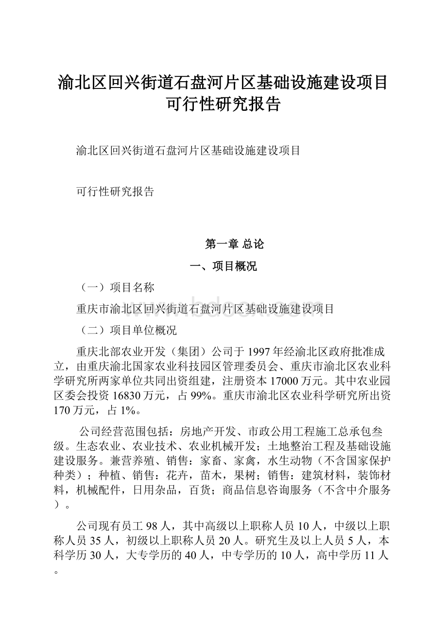 渝北区回兴街道石盘河片区基础设施建设项目可行性研究报告.docx_第1页