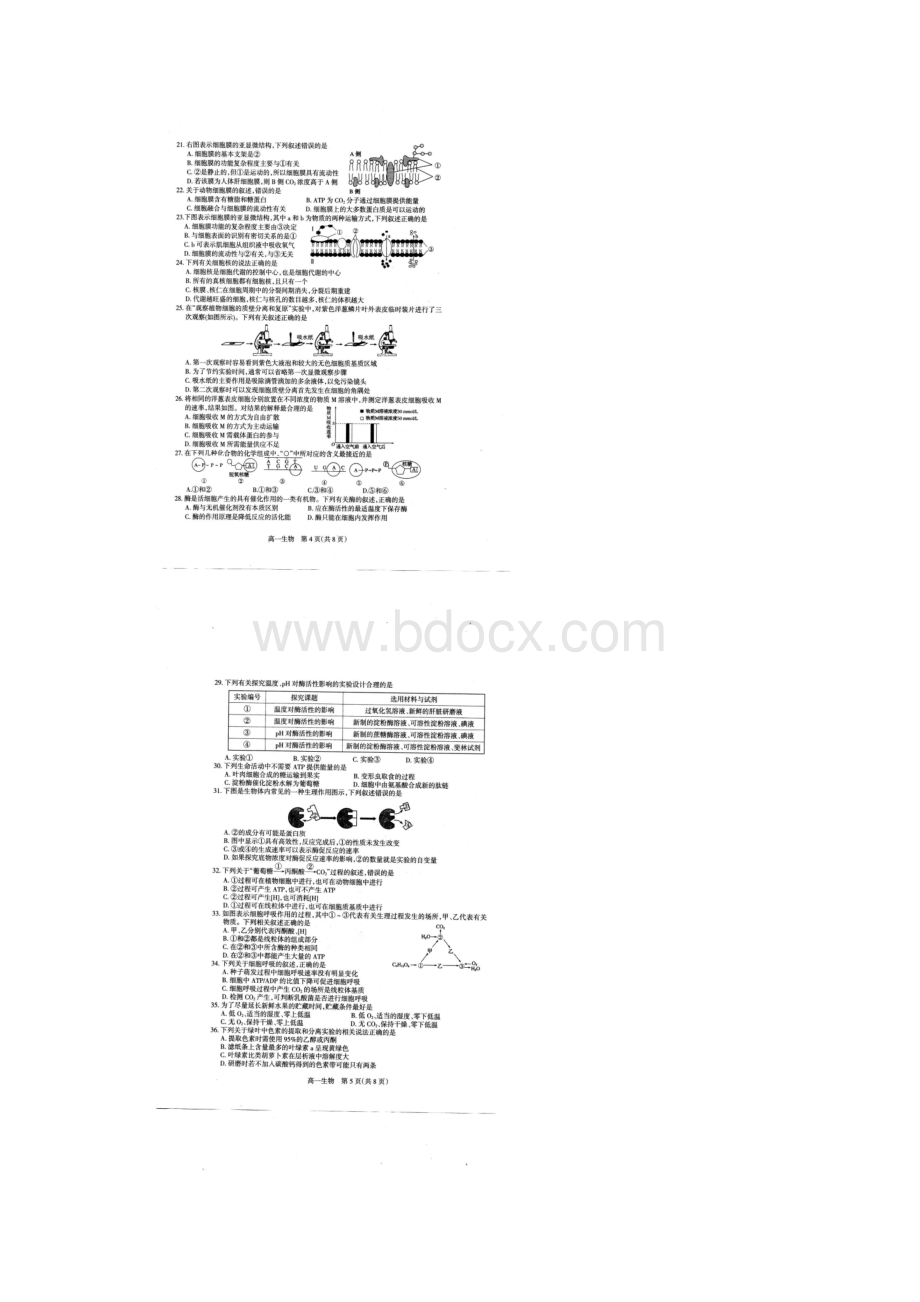 河北省石家庄市学年高一上学期期末检测生物试题+扫描版含答案.docx_第3页