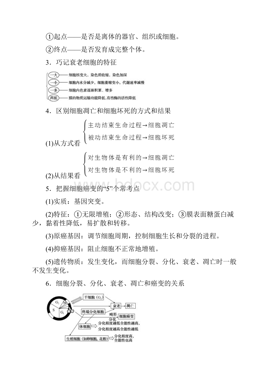 版高考生物二轮复习32细胞的分化衰老凋亡和癌变讲义.docx_第3页