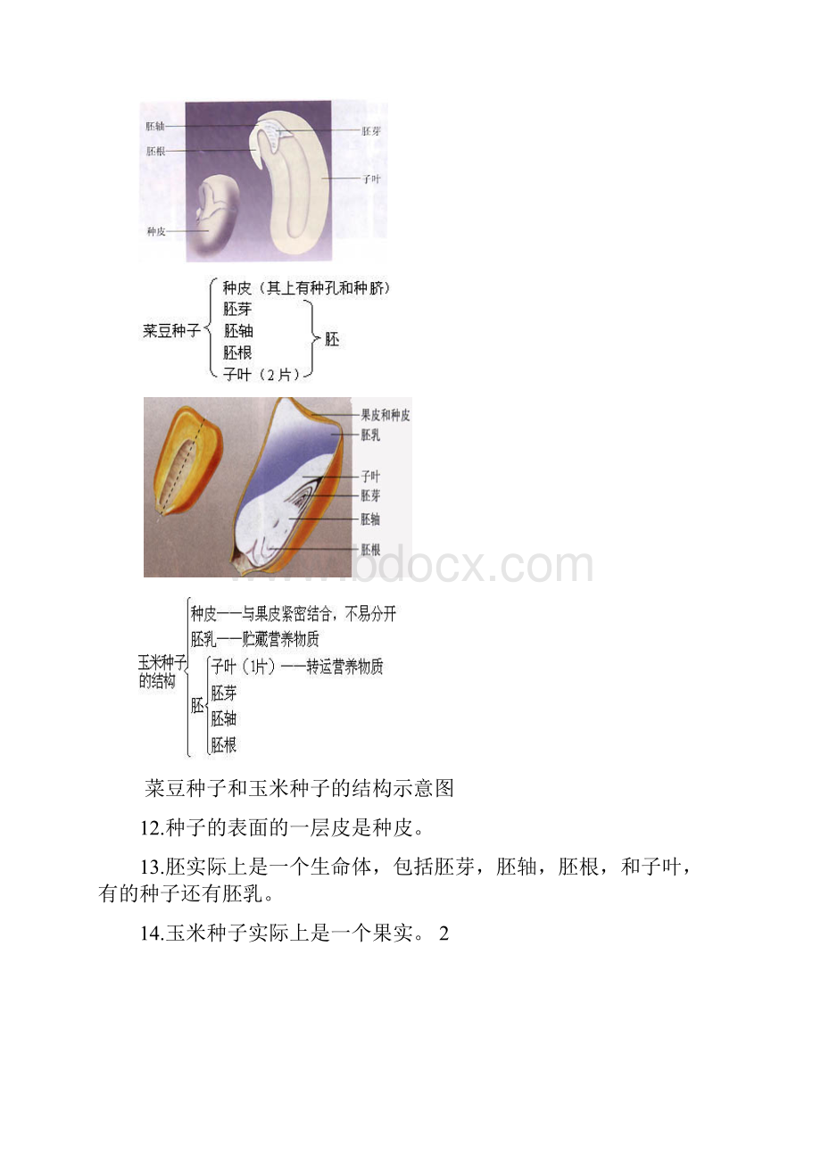 生地会考复习资料初中生物图集附题目人教版.docx_第3页