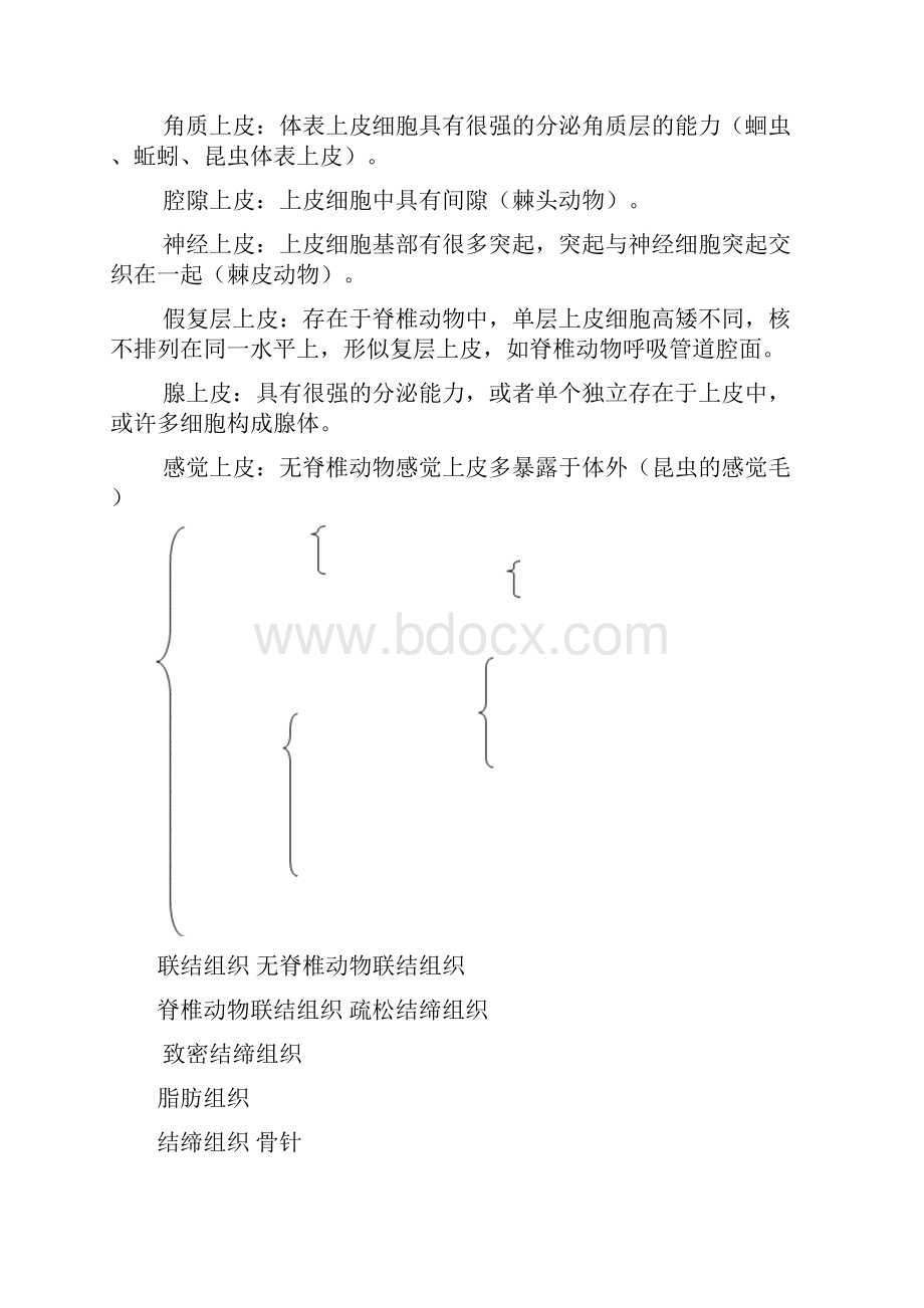 后生动物的起源和进化.docx_第3页