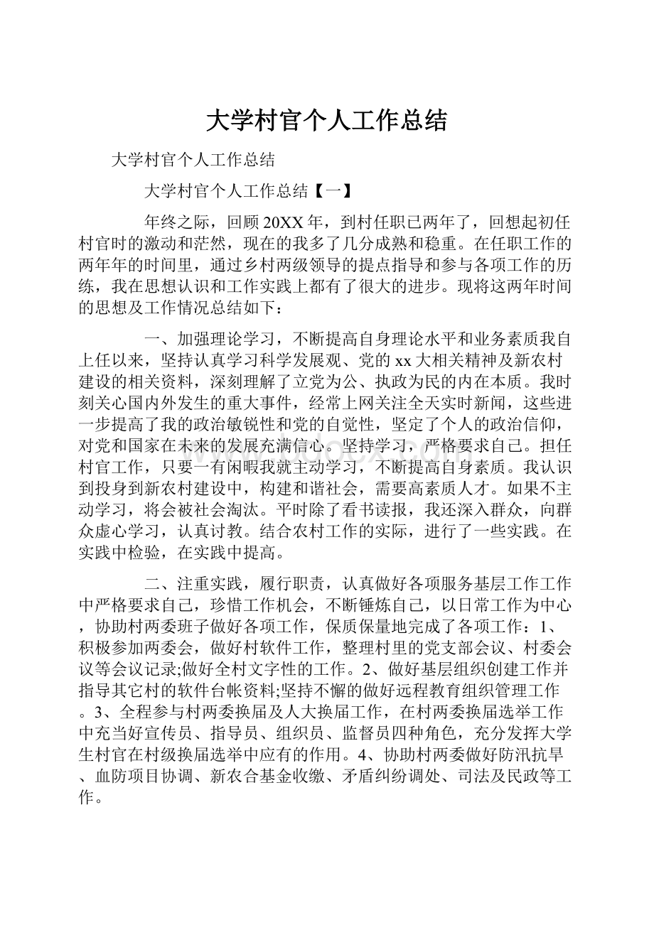 大学村官个人工作总结.docx