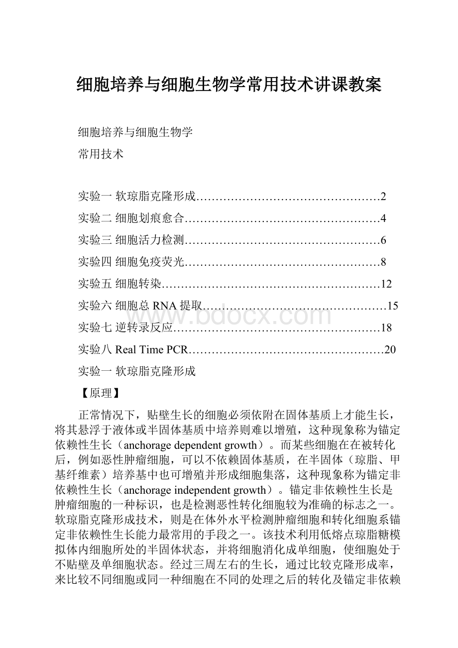 细胞培养与细胞生物学常用技术讲课教案.docx_第1页