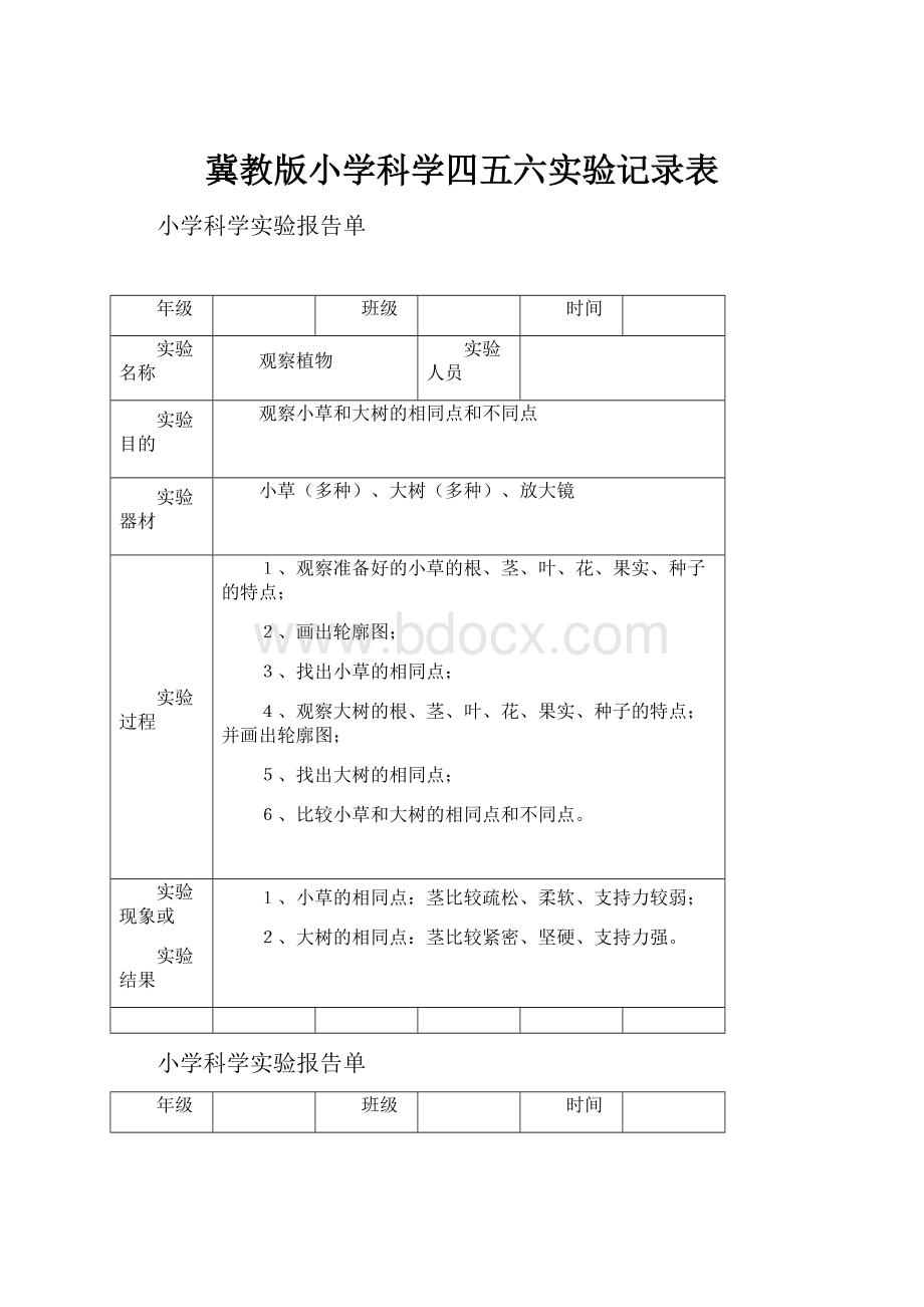 冀教版小学科学四五六实验记录表.docx_第1页