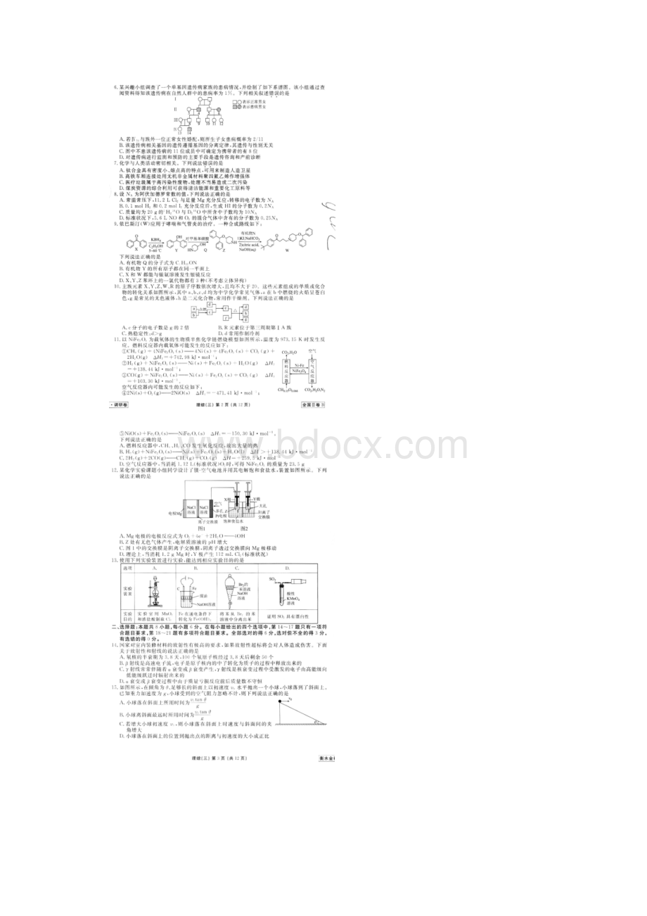 衡水金卷先享题信息卷普通高等学校招生全国统一考试模拟试题三 理综合全国III卷B 含答案.docx_第2页