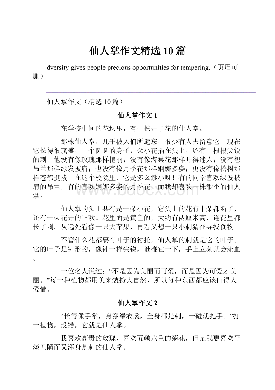 仙人掌作文精选10篇.docx