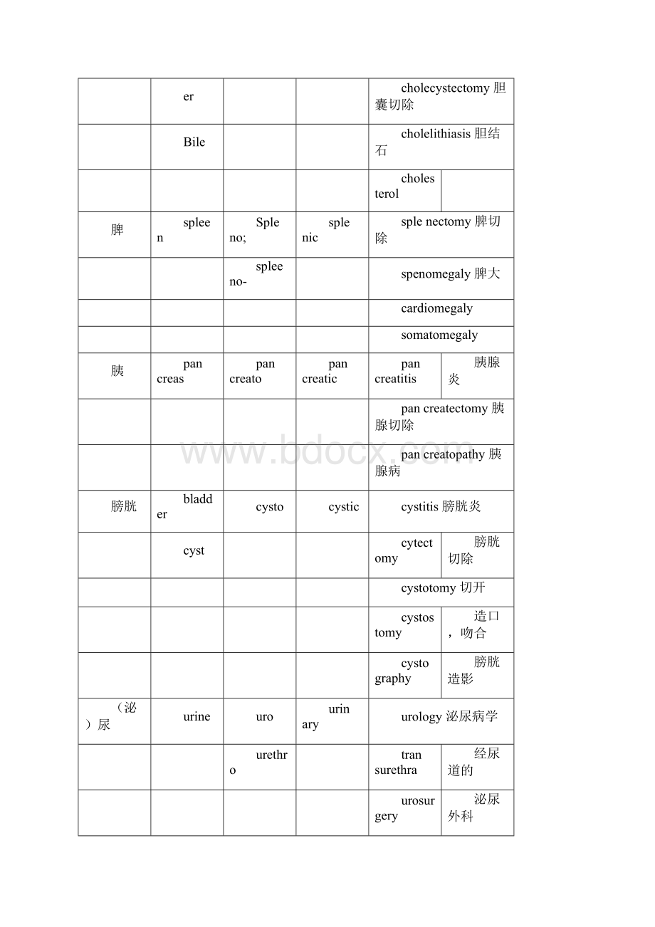 最常用医学英语前后缀.docx_第3页