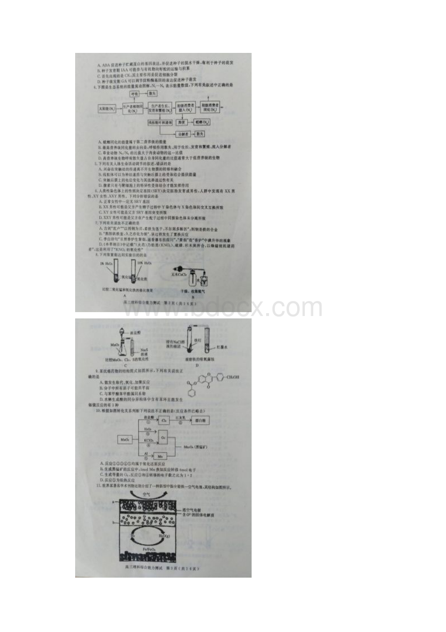 首发河南省六市届高三第一次联考一模理科综合试题图片版.docx_第2页