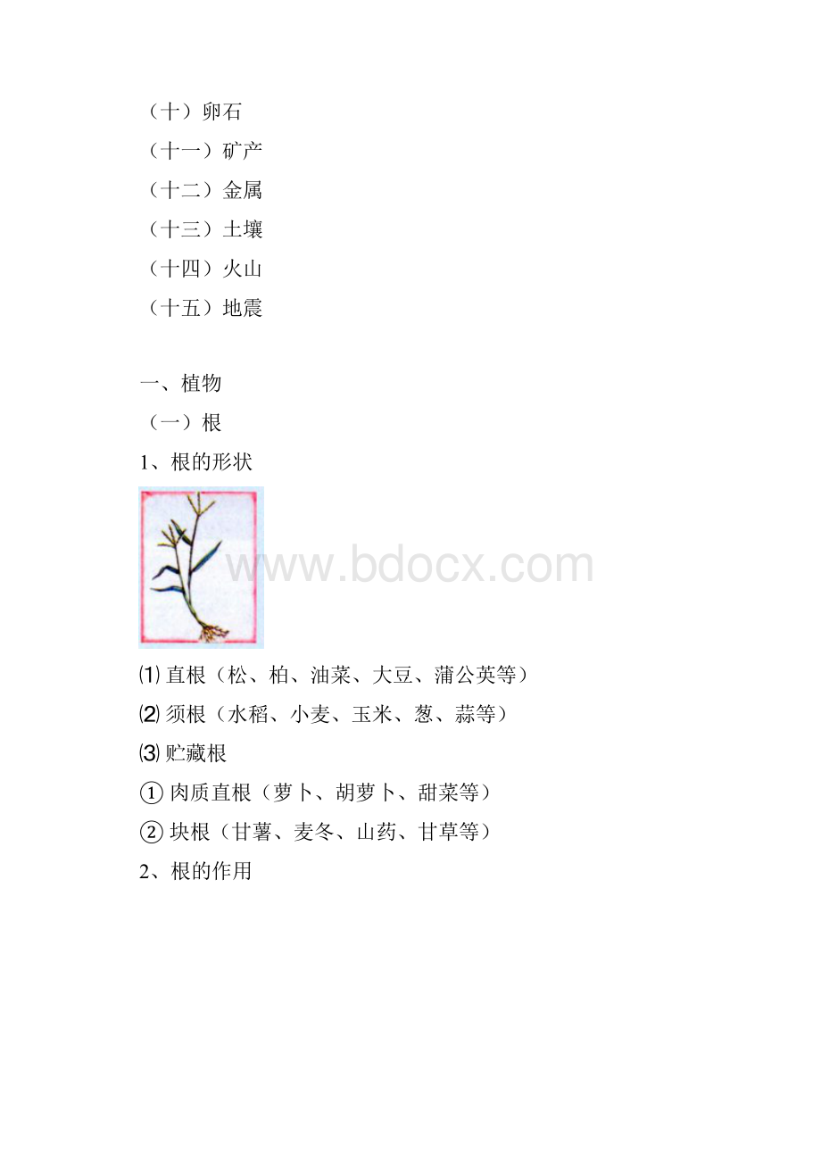 小学科学知识系统总结.docx_第3页