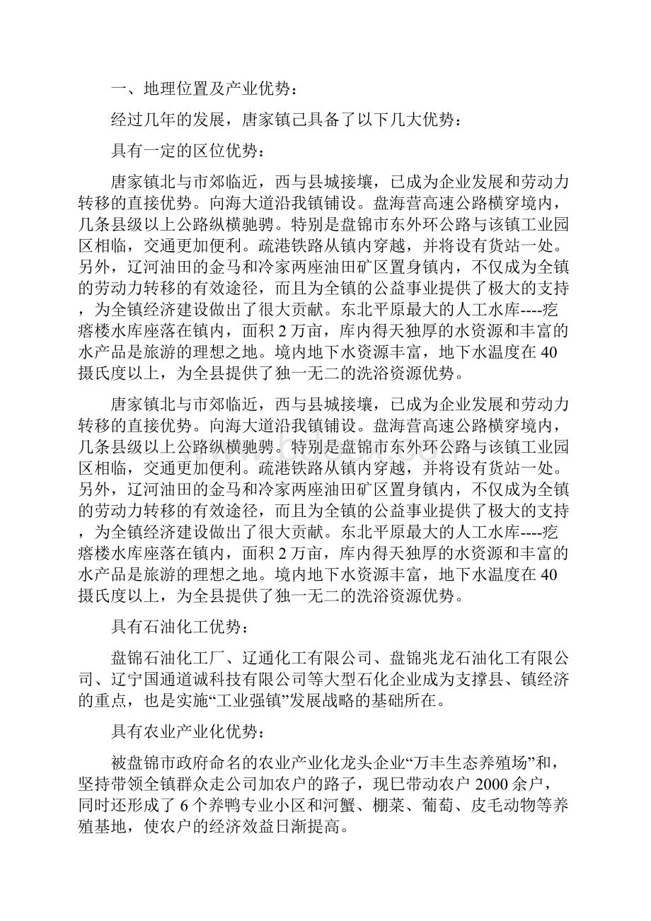 唐家镇平代线公路建设项目可行性研究分析报告.docx_第3页