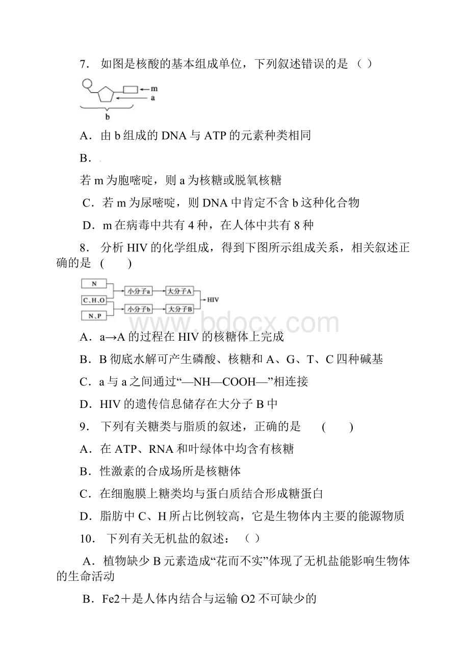 安徽省合肥市第一六八中学高一生物上学期期末考试试题.docx_第3页