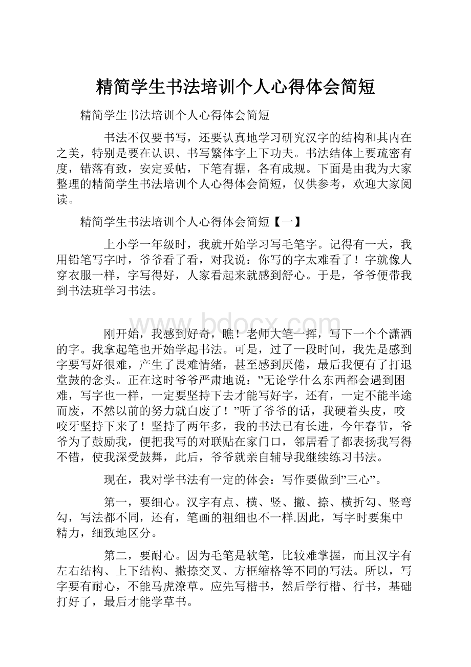 精简学生书法培训个人心得体会简短.docx