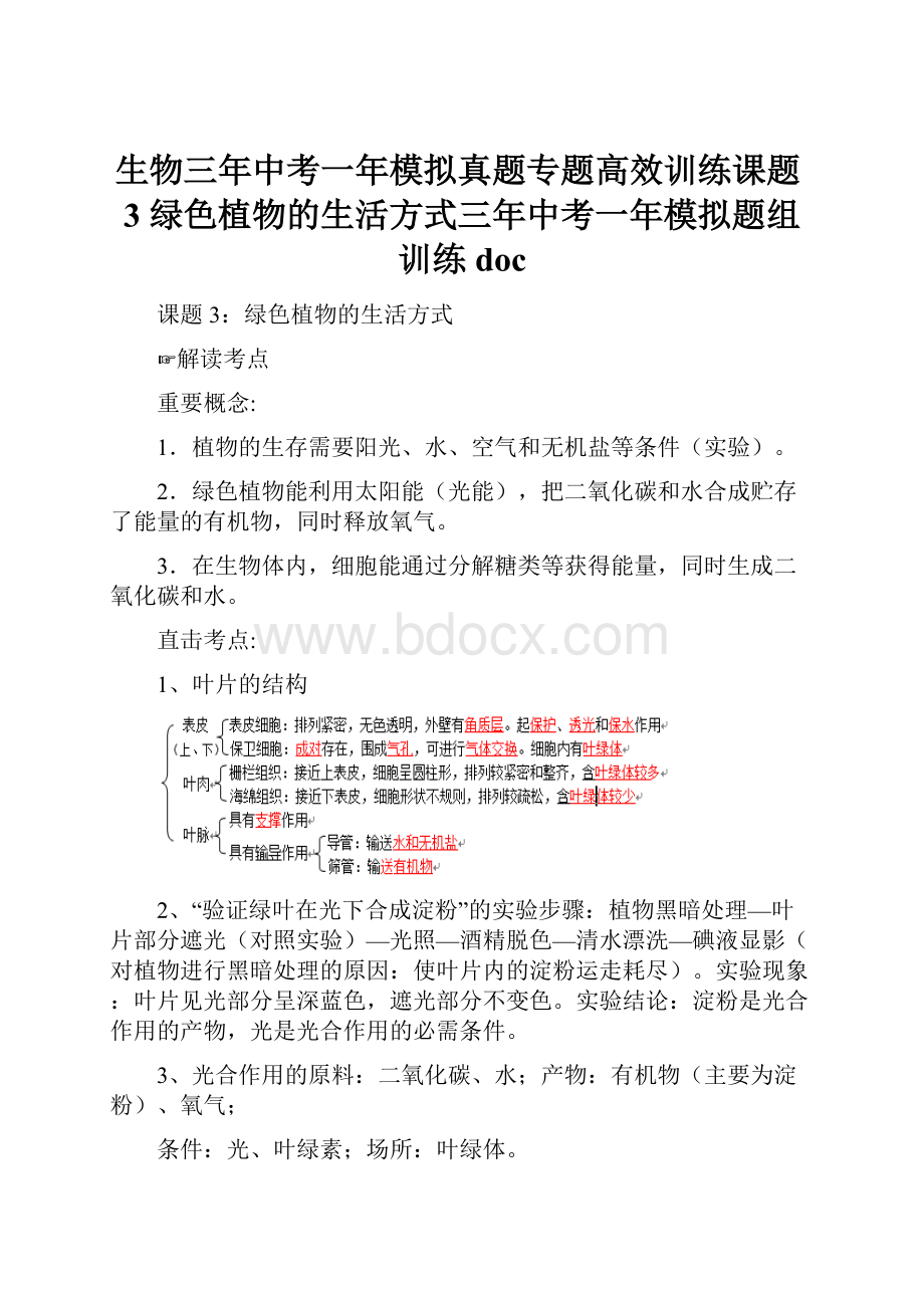 生物三年中考一年模拟真题专题高效训练课题3 绿色植物的生活方式三年中考一年模拟题组训练doc.docx_第1页