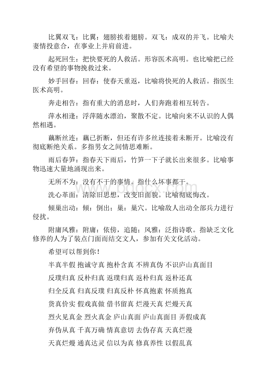 真大的四字成语是什么意思是什么意思.docx_第3页