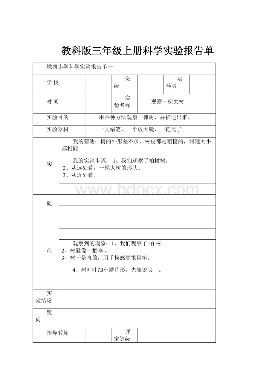 教科版三年级上册科学实验报告单.docx