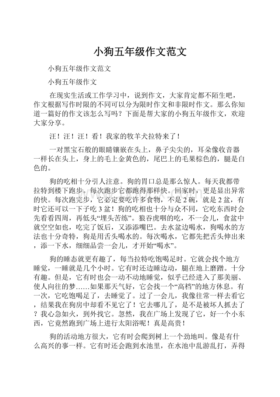 小狗五年级作文范文.docx