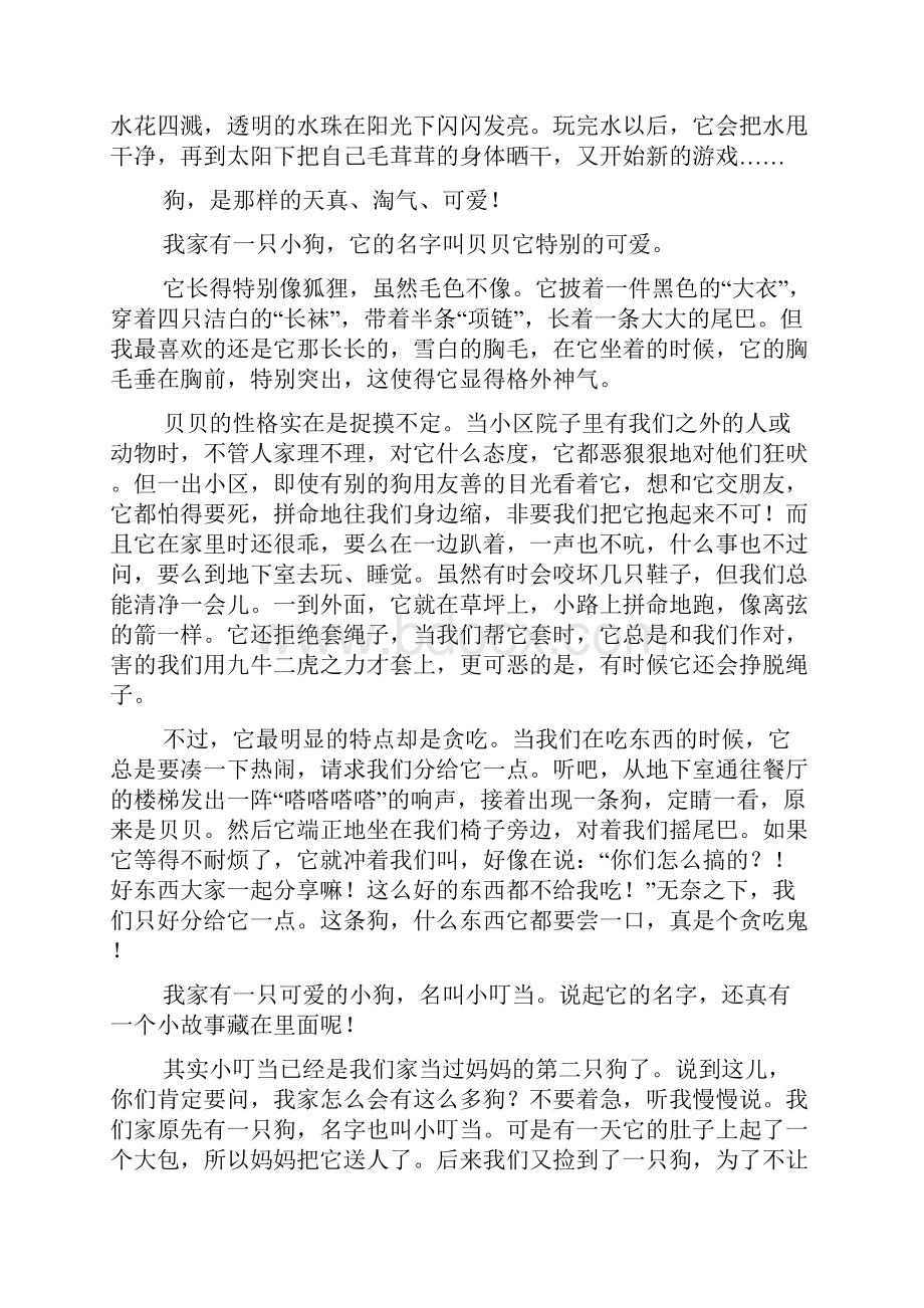 小狗五年级作文范文.docx_第2页