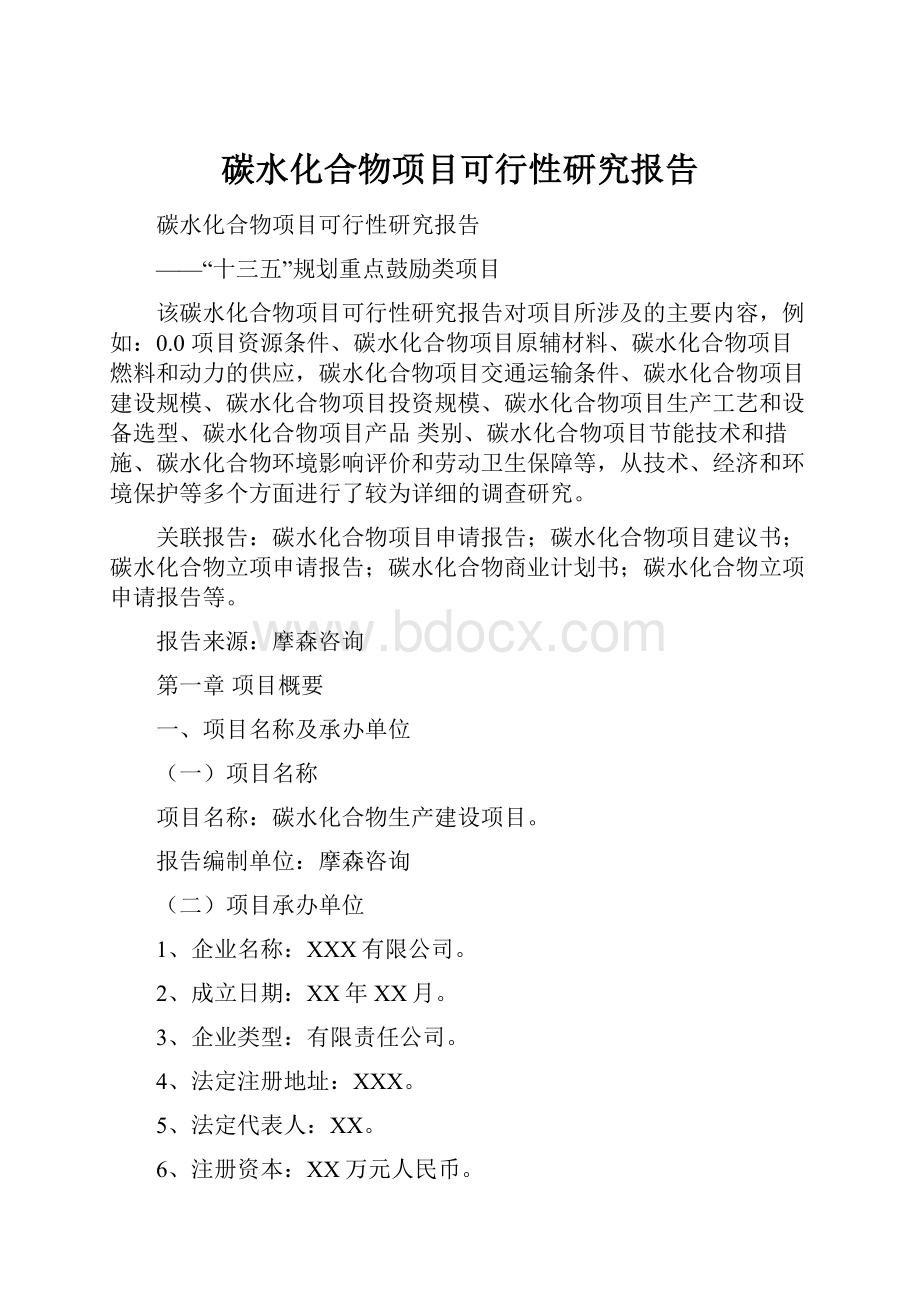 碳水化合物项目可行性研究报告.docx