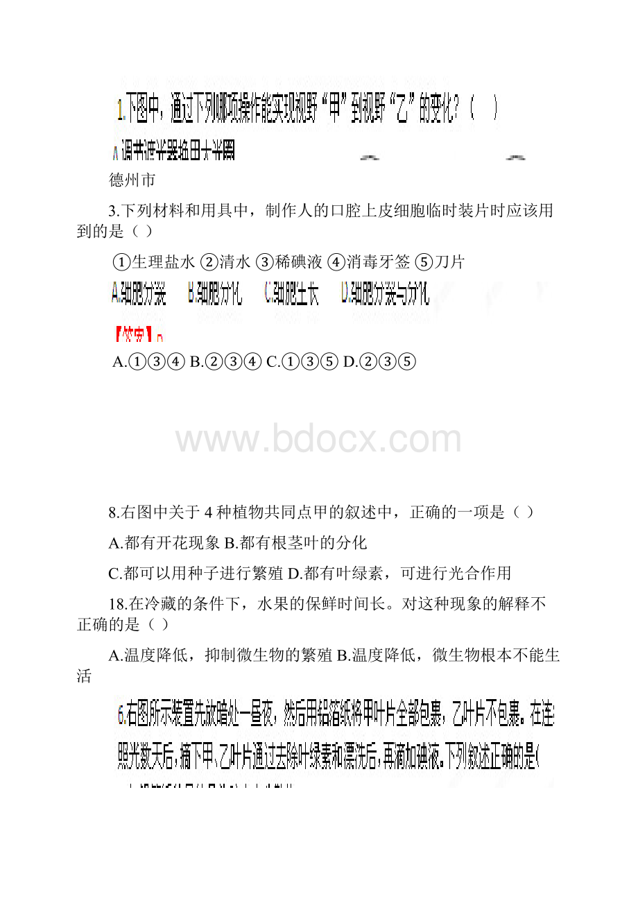 七年级上前三章中考题1.docx_第2页