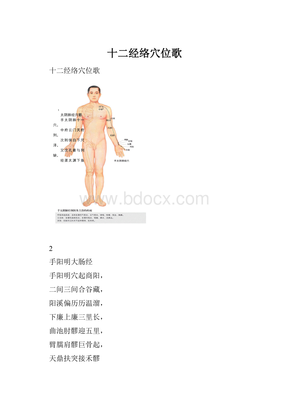 十二经络穴位歌.docx_第1页