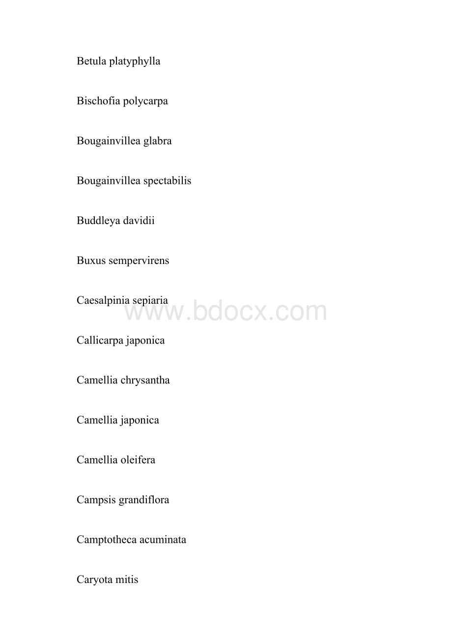 常见树木拉丁学名.docx_第3页