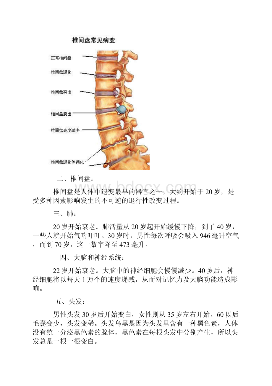 人体20个重要器官衰老时间表.docx_第2页